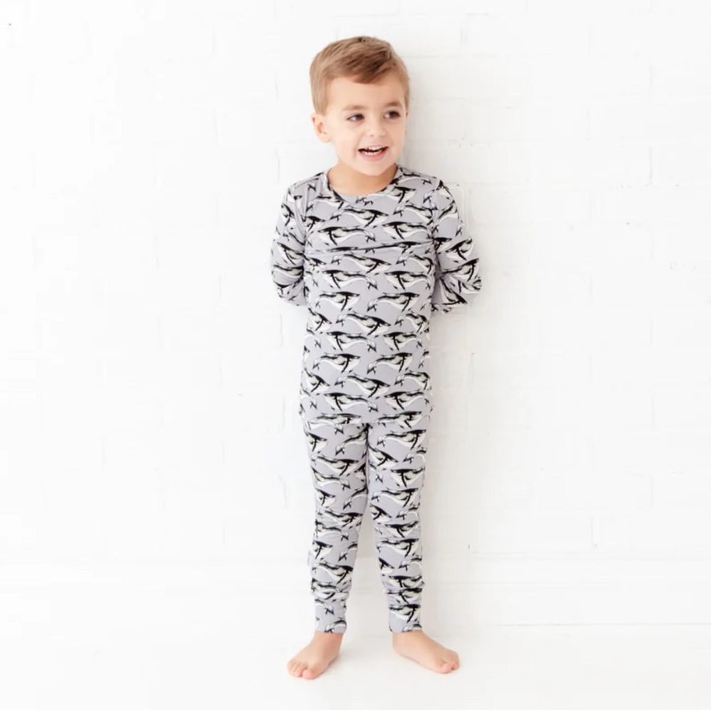 🐋Like New Dream Jamms Bamboo Set🐋